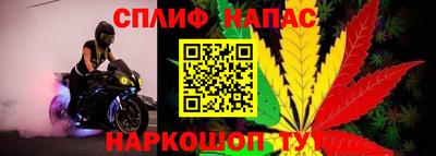 гидра Беслан