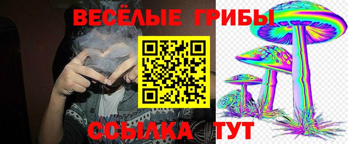 Артём  Псилоцибиновые грибы Magic Shrooms  Вход с VPN  Псилоцибиновые грибы Cubensis 