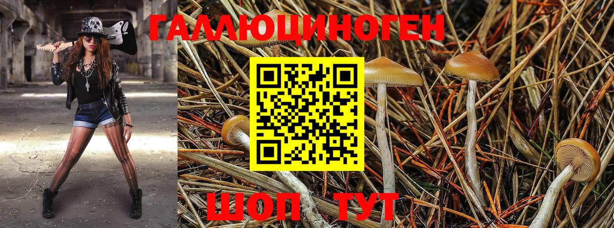 Псилоцибиновые грибы мухоморы Артём